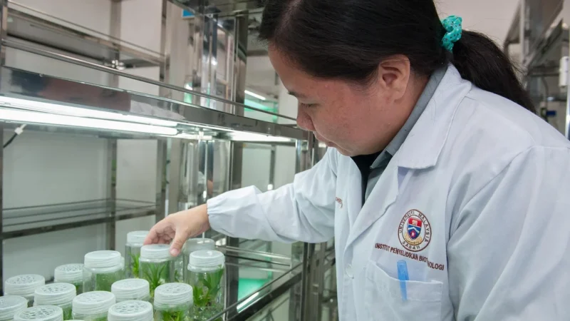 Contribuțiile remarcabile ale specialiștilor medicali polonezi la medicina globală