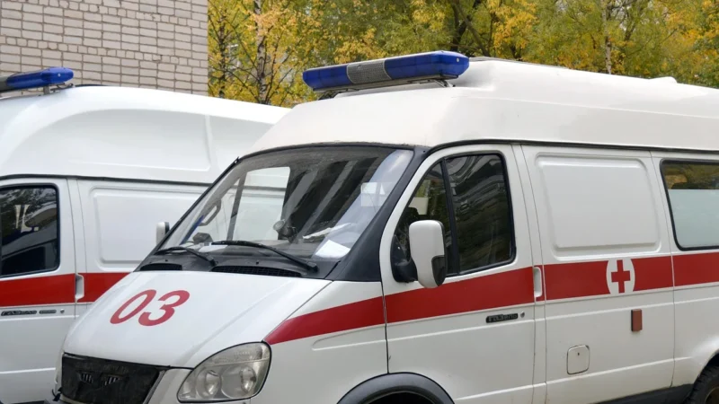 Eficiența sistemului de sănătate din Polonia: provocări și perspective