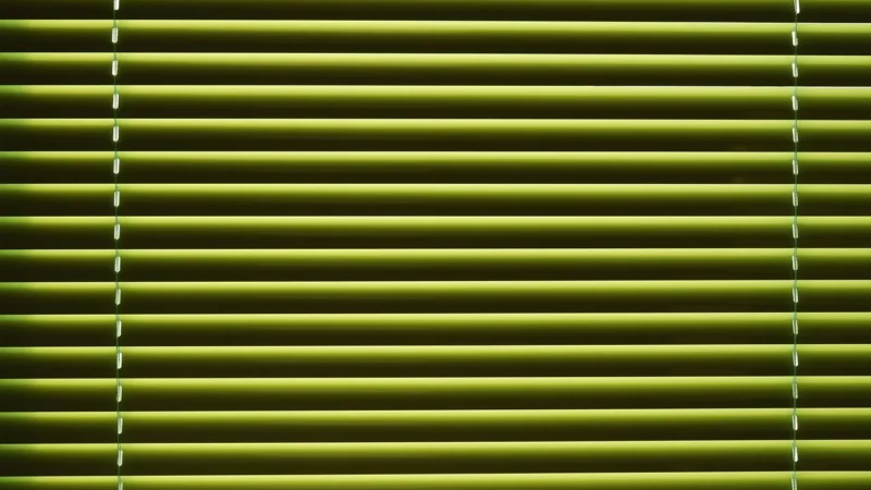 Jak wybrać idealne żaluzje plisowane do swojego domu